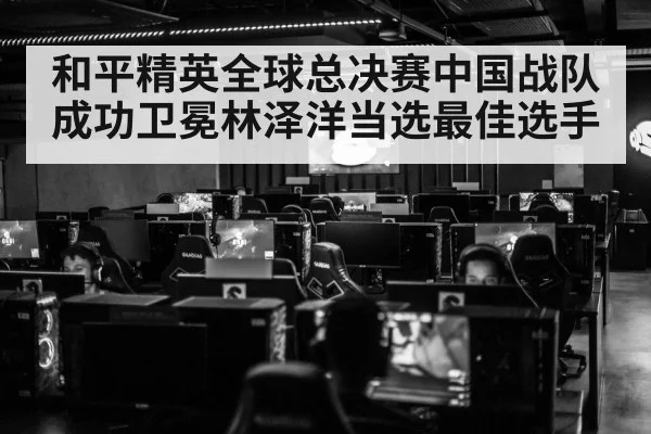 和平精英全球总决赛中国战队成功卫冕林泽洋当选最佳选手